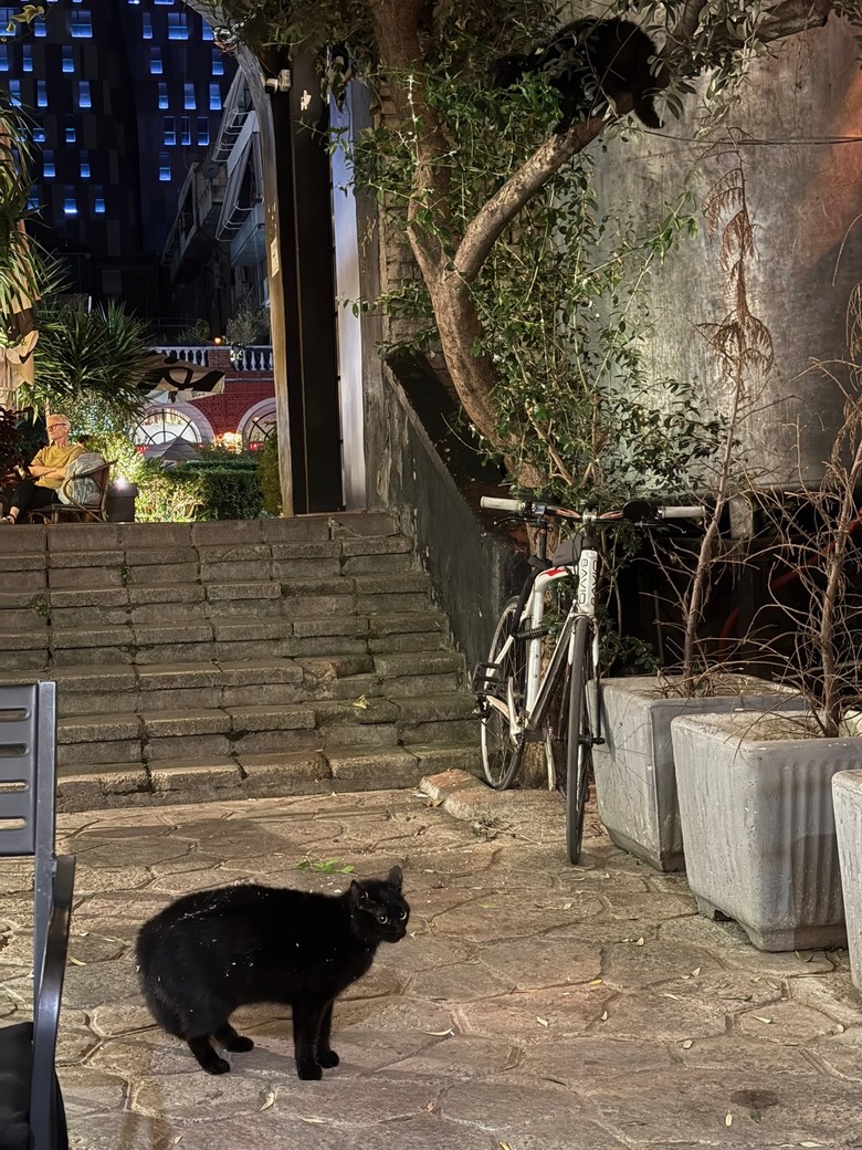 阿爾巴尼亞🇦🇱第一天 - 首都地拉那美食現代建築之旅