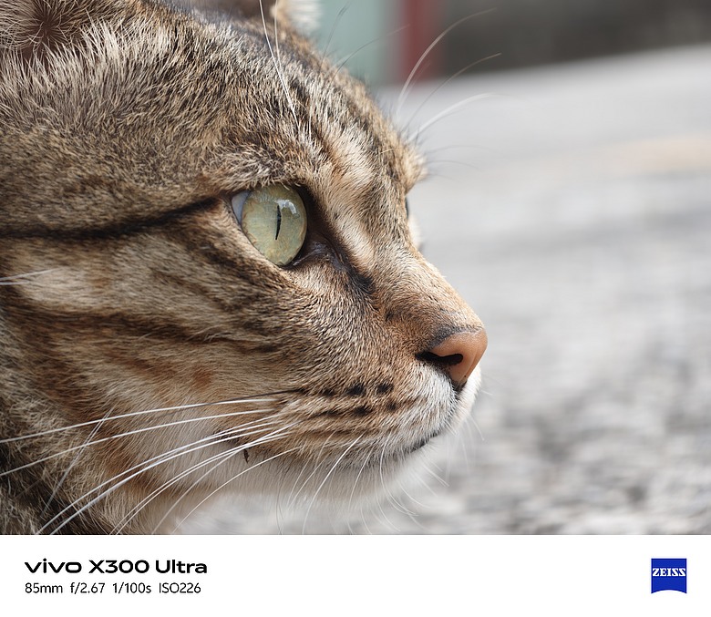 【上篇】vivo X300 Ultra與Gen2 Ultra增距鏡的心得及照片分享