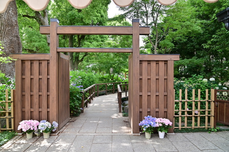 京都市區紫陽花名所採點介紹-藤森神社與智積院