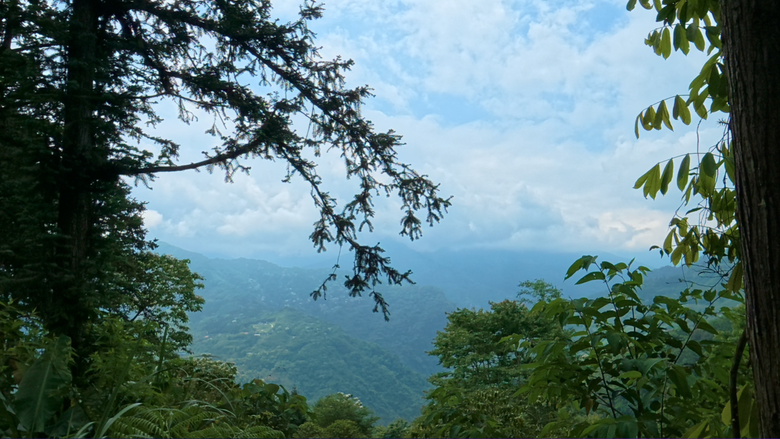 【原始森林住一晚】在無電營區享受獨露的愜意｜青蛙飛蛾馬陸來作伴｜森林中的藍色金字塔帳 好美