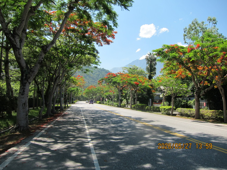 台鐵花東兩日券坐到飽