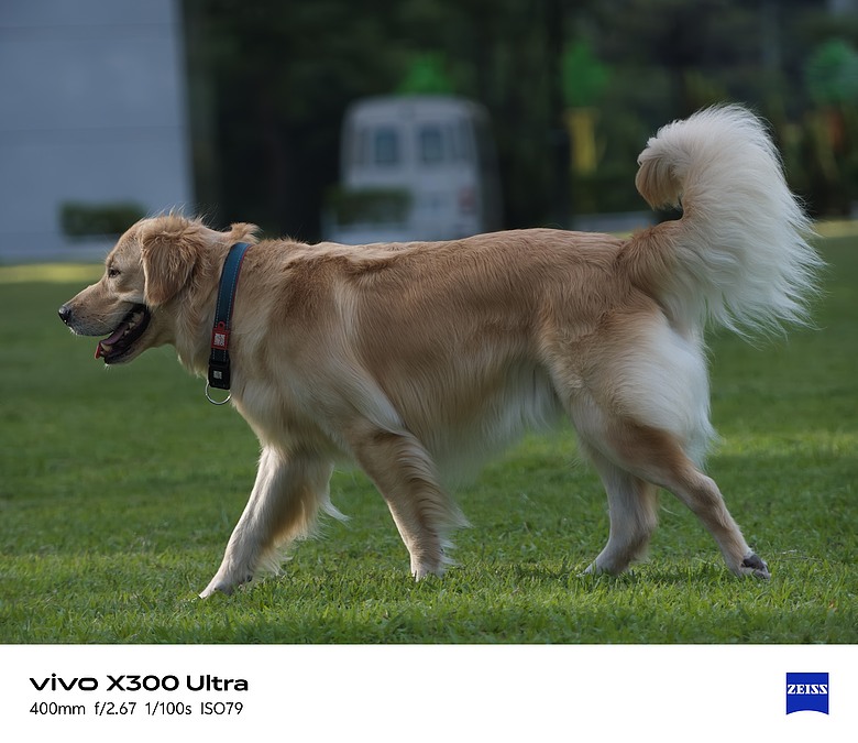 點我看大圖 【下篇】vivo X300 Ultra與Gen2 Ultra增距鏡的心得及照片分享