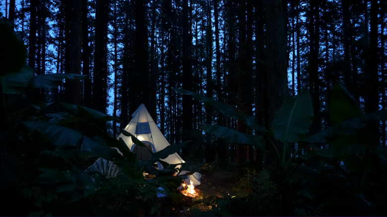 【原始森林住一晚】在無電營區享受獨露的愜意｜青蛙飛蛾馬陸來作伴｜森林中的藍色金字塔帳 好美