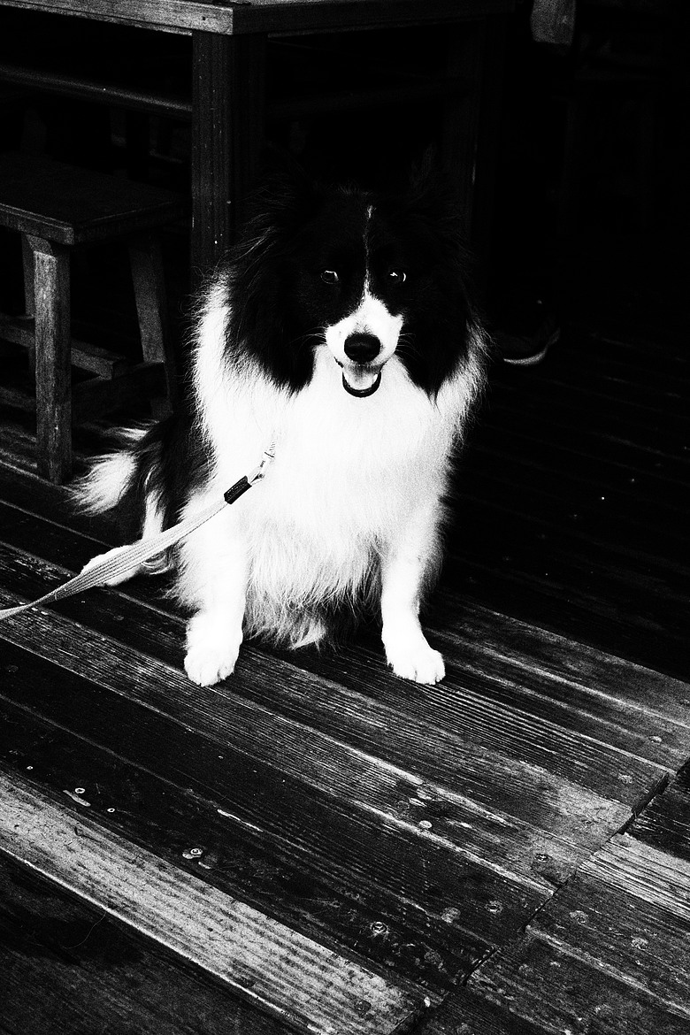 RICOH GR IV Monochrome 評測報告｜以純粹光影、譜寫口袋裡的黑白詩篇！