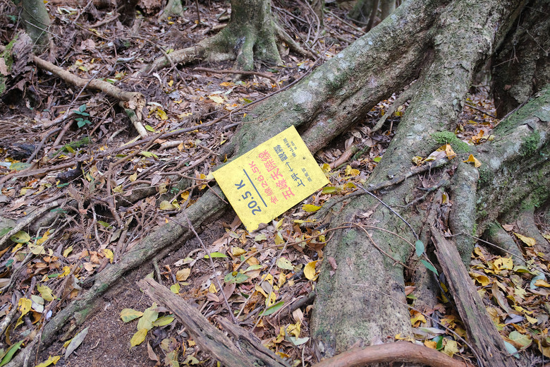 點我看大圖 【比大鳥縱走】隱沒在深山裡的日軍軍營遺址 | 五峰天際線