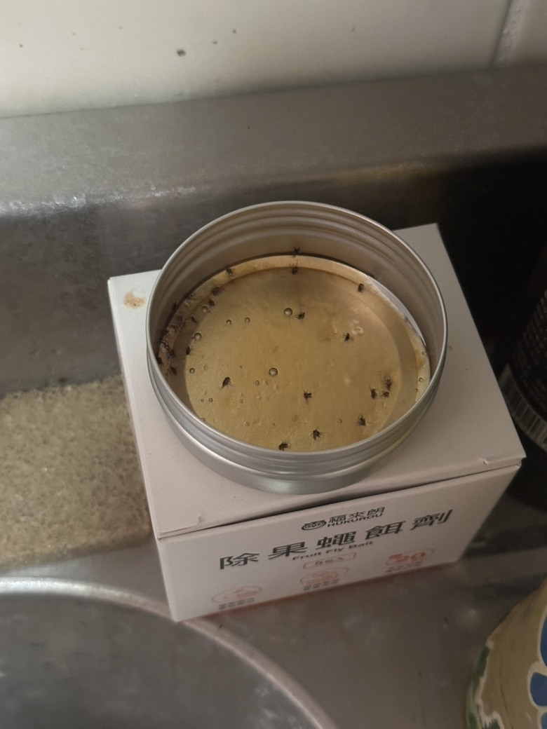本來以為這種果蠅餌劑根本沒效…用了一個夏天默默改觀