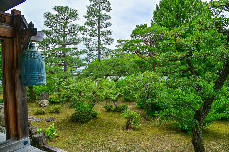京都市區紫陽花名所採點介紹-藤森神社與智積院