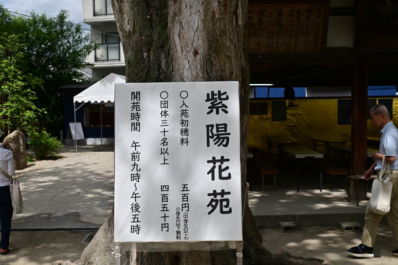京都市區紫陽花名所採點介紹-藤森神社與智積院