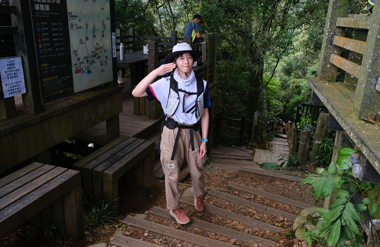 【大坑四號步道】台中最美木棧道 | 網美天梯 | 頭嵙山小百岳