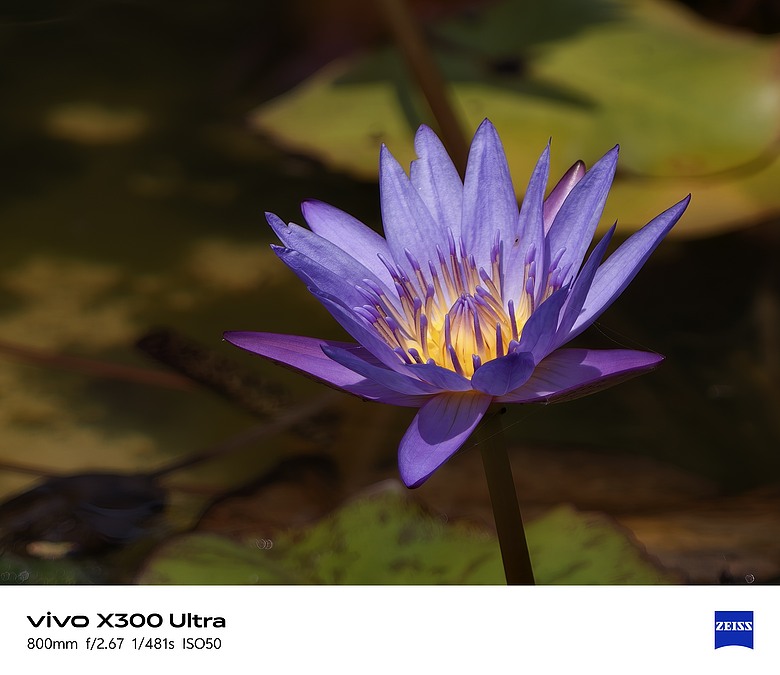 【上篇】vivo X300 Ultra與Gen2 Ultra增距鏡的心得及照片分享