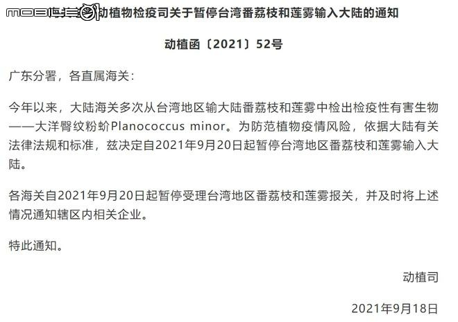 台灣都不接受含「太平洋臀紋粉介殼蟲」（Planococcus minor）的果實進口...卻要中國接受??