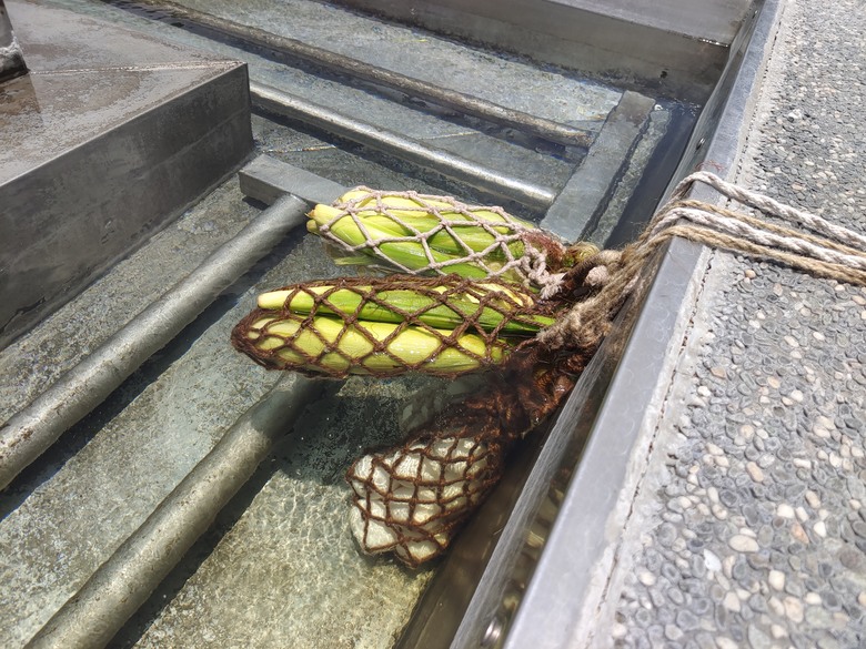 麻繩理工學院深入研究-小雲豹清水地熱麻袋與棉袋之煮食比較
