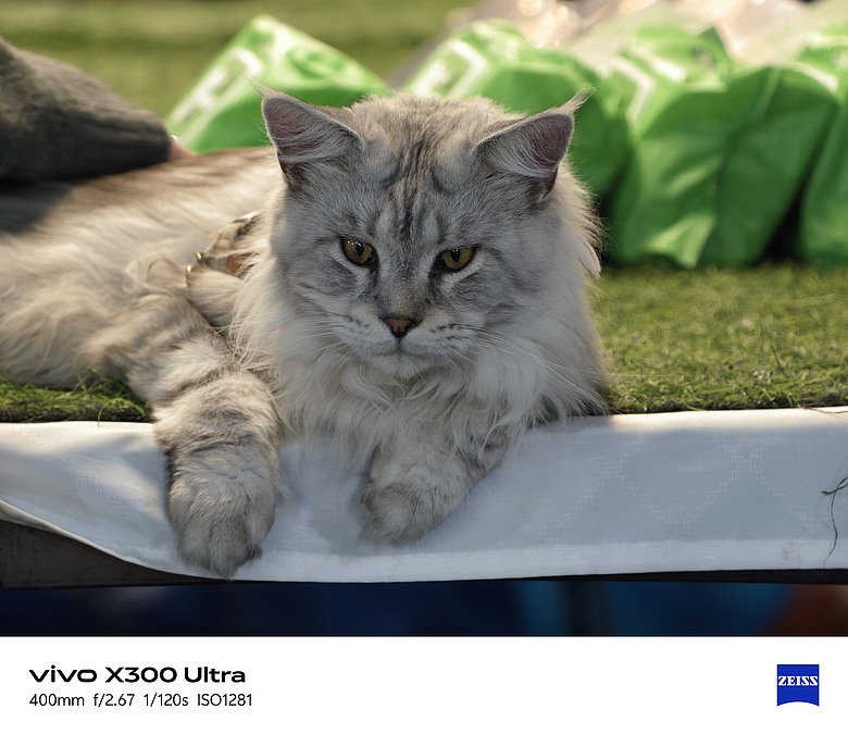 點我看大圖 【下篇】vivo X300 Ultra與Gen2 Ultra增距鏡的心得及照片分享
