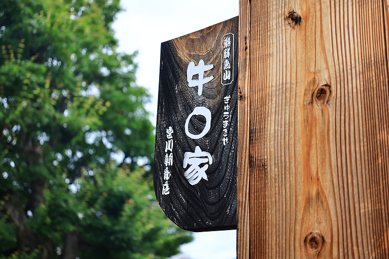 Canon EOS R6 V + RF20-50mm f/4L PZ 評測報告｜首款全幅方塊機、搭載 7K Open Gate 終極殺招！
