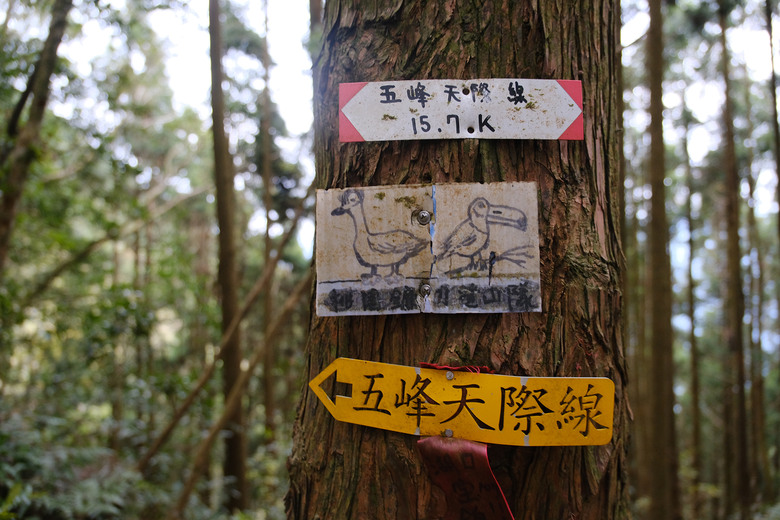 點我看大圖 【比大鳥縱走】隱沒在深山裡的日軍軍營遺址 | 五峰天際線