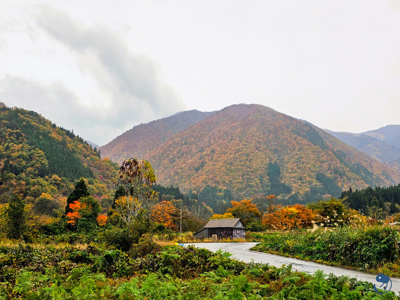 日本-岐阜大野|*暖紅山谷裡的茅葺小屋* 白川鄉合掌村 白川郷合掌造