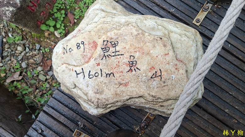 【台灣小百岳】鯉魚潭畔的靜謐午後|健行鯉魚山,飽覽湖光山色