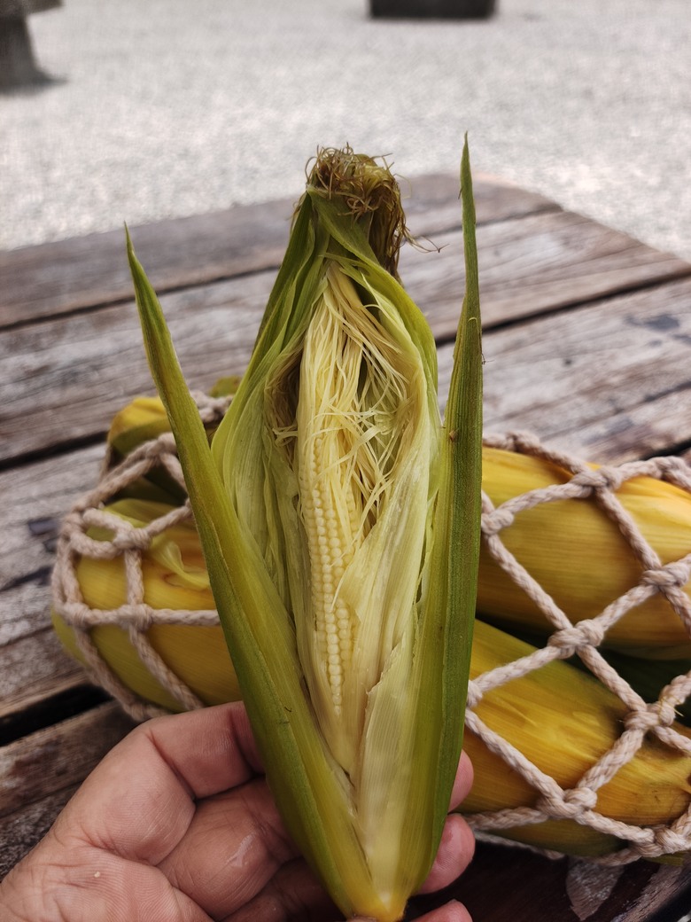 麻繩理工學院深入研究-小雲豹清水地熱麻袋與棉袋之煮食比較