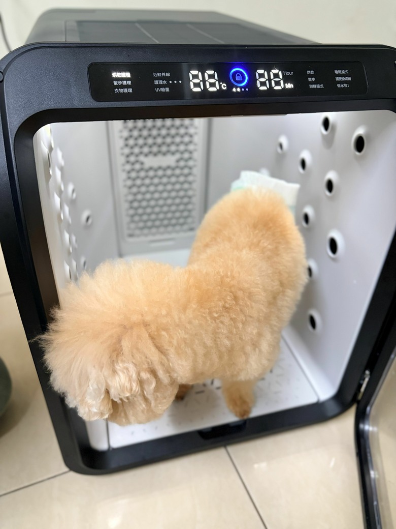 給家中老狗專屬的寵物照護空間