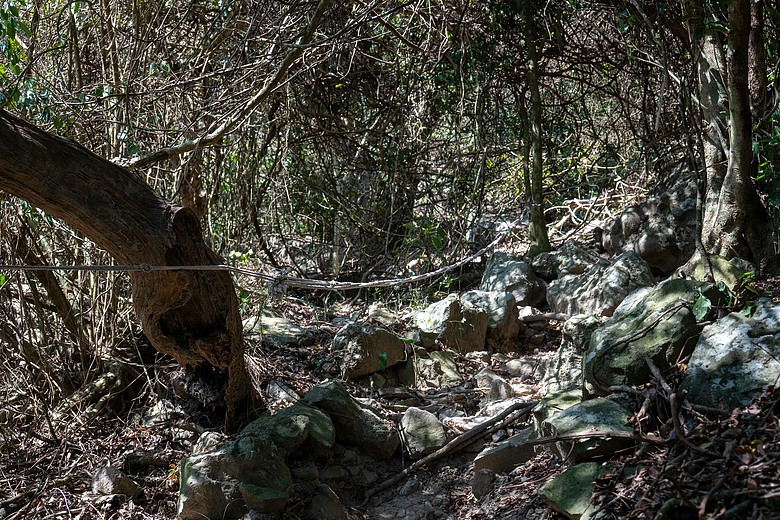 國境之南的一等三角點----大山母山