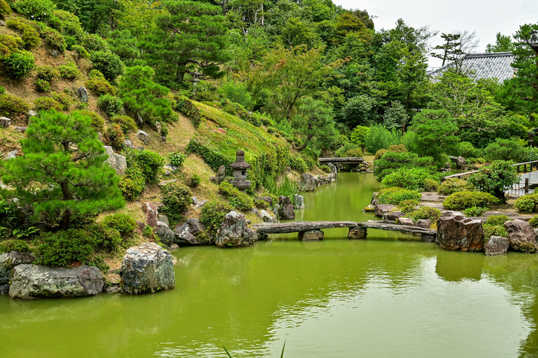 京都市區紫陽花名所採點介紹-藤森神社與智積院