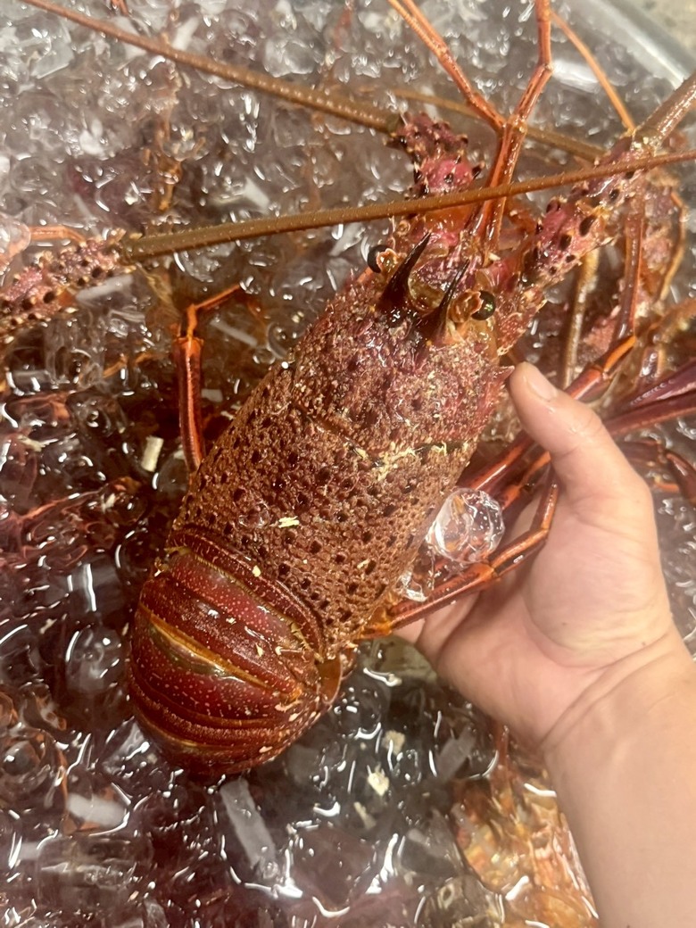 【食記】見識到南部辦桌的實力!大廠發表會指定高屏外燴,現場現烤龍蝦、老酒海大蝦氣勢有狂!