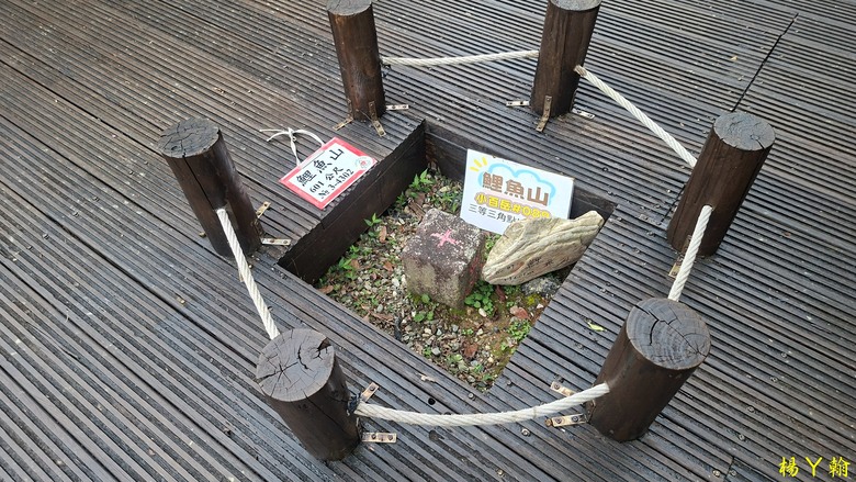 【台灣小百岳】鯉魚潭畔的靜謐午後|健行鯉魚山,飽覽湖光山色