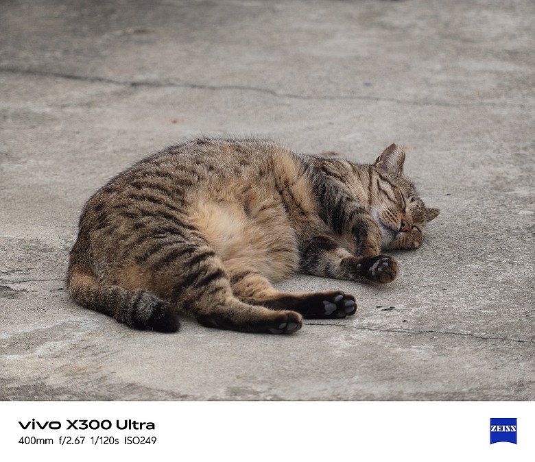 點我看大圖 【下篇】vivo X300 Ultra與Gen2 Ultra增距鏡的心得及照片分享