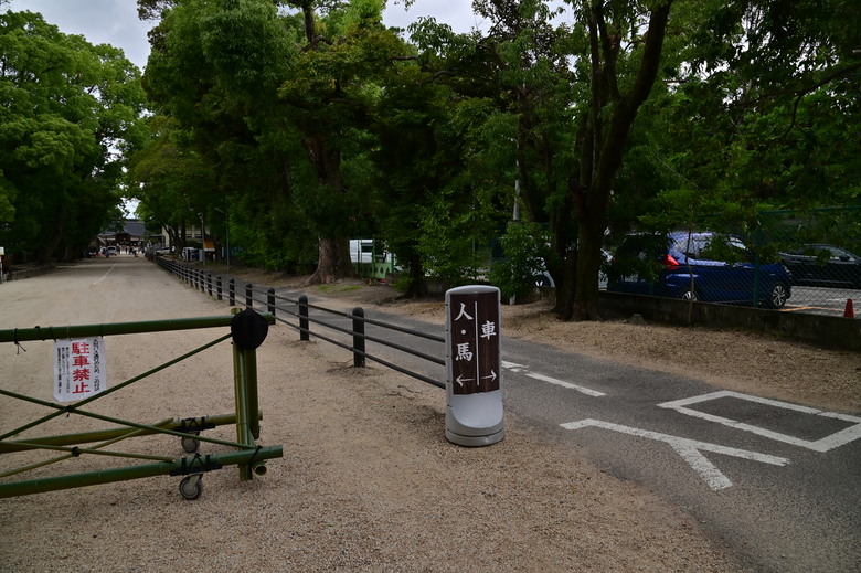 京都市區紫陽花名所採點介紹-藤森神社與智積院