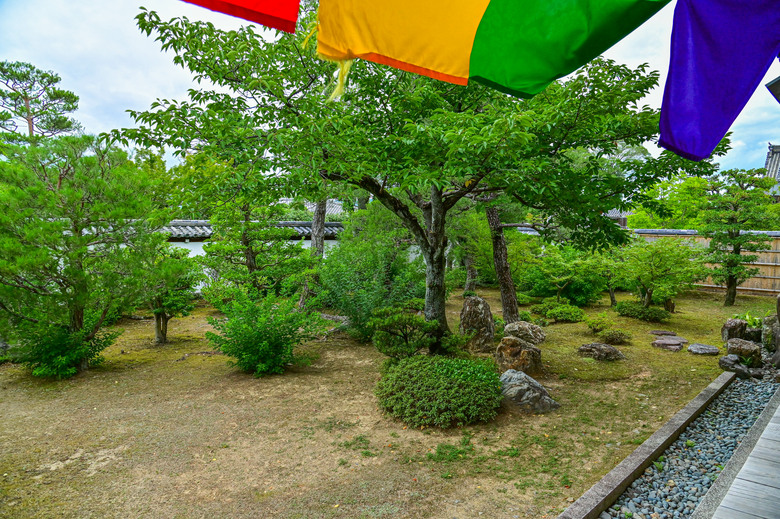 京都市區紫陽花名所採點介紹-藤森神社與智積院