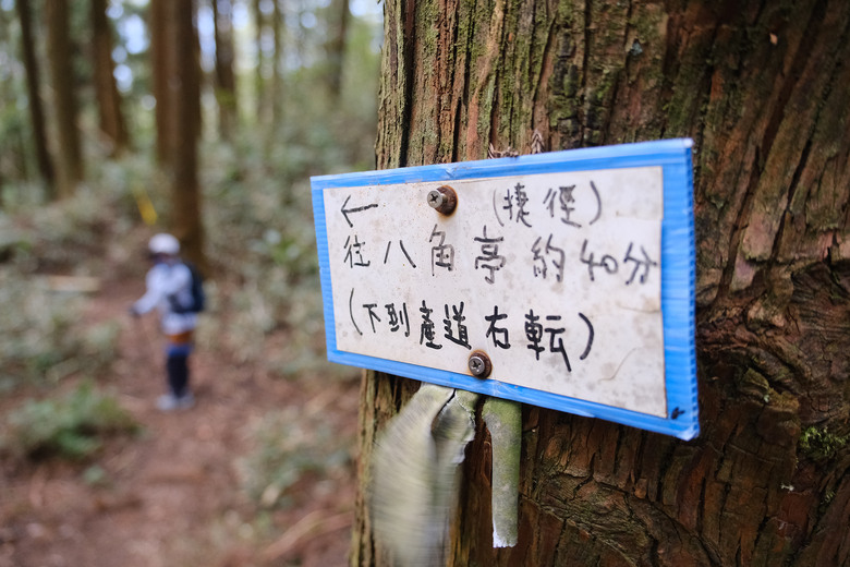 點我看大圖 【比大鳥縱走】隱沒在深山裡的日軍軍營遺址 | 五峰天際線