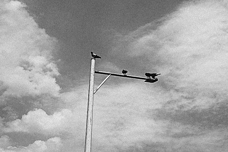 RICOH GR IV Monochrome 評測報告｜以純粹光影、譜寫口袋裡的黑白詩篇！