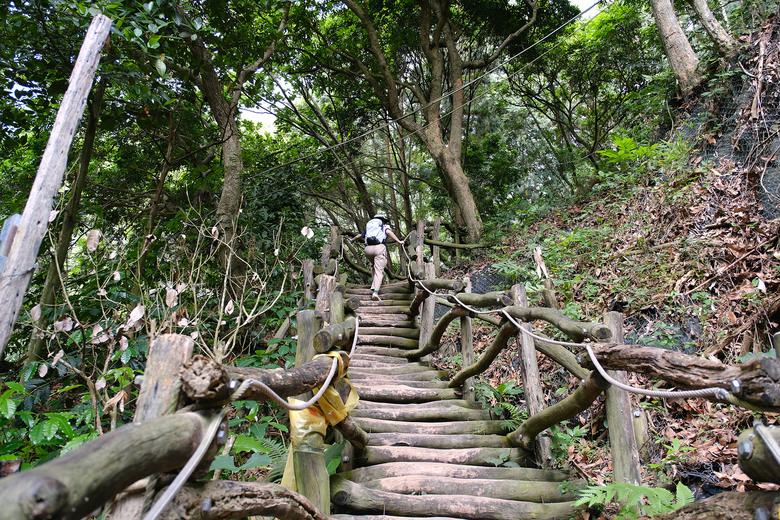 【大坑四號步道】台中最美木棧道 | 網美天梯 | 頭嵙山小百岳