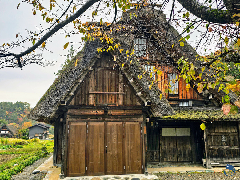 日本-岐阜大野|*暖紅山谷裡的茅葺小屋* 白川鄉合掌村 白川郷合掌造