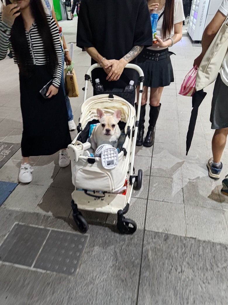 女性如何看待男朋友與老公？