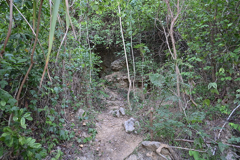 點我看大圖 爬山看護國神山(二)