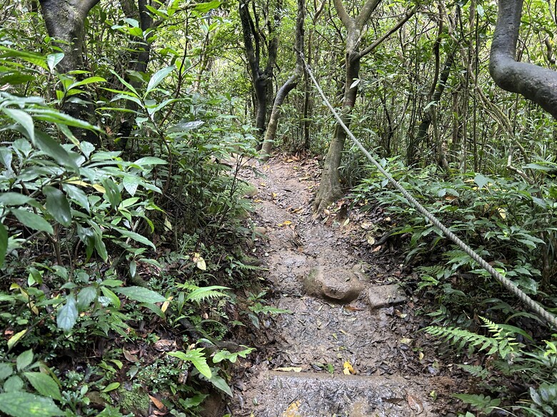 瑯 嶠 首 岳 - 里 龍 山 (小百岳編號80)