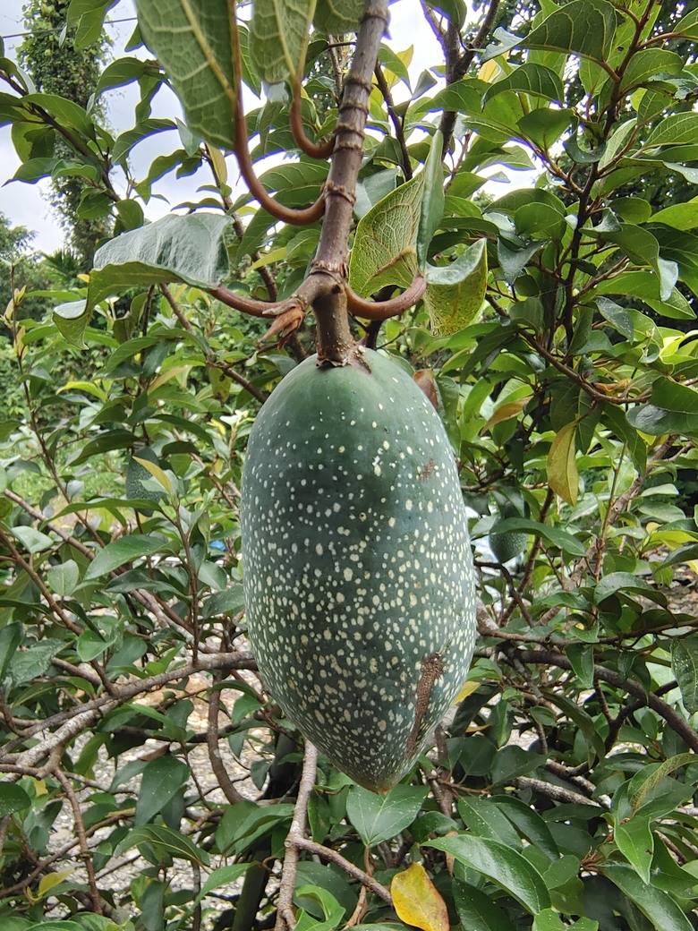 蘭陽環線--輕食之旅