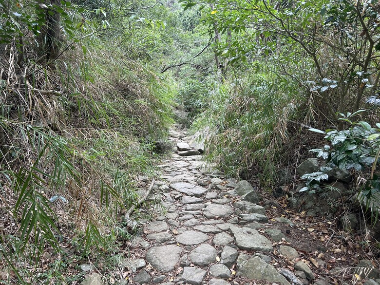 瑯 嶠 首 岳 - 里 龍 山 (小百岳編號80)