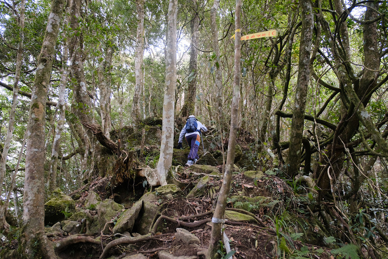 點我看大圖 【比大鳥縱走】隱沒在深山裡的日軍軍營遺址 | 五峰天際線