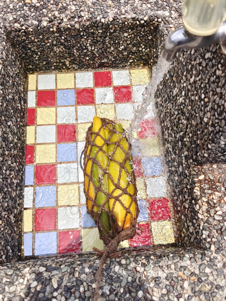 麻繩理工學院深入研究-小雲豹清水地熱麻袋與棉袋之煮食比較