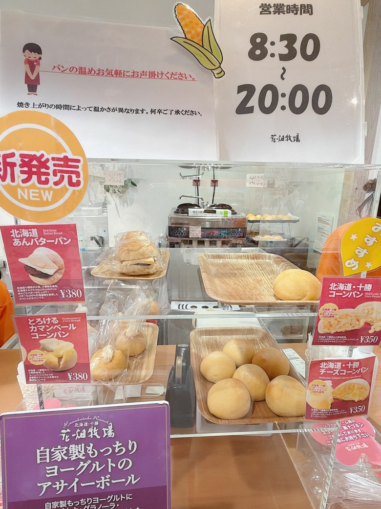 北海道 札幌 新千歲機場 國內線懶人包/攻略～