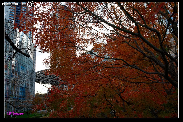 XH2S+Sigma17-40拍+錄心得