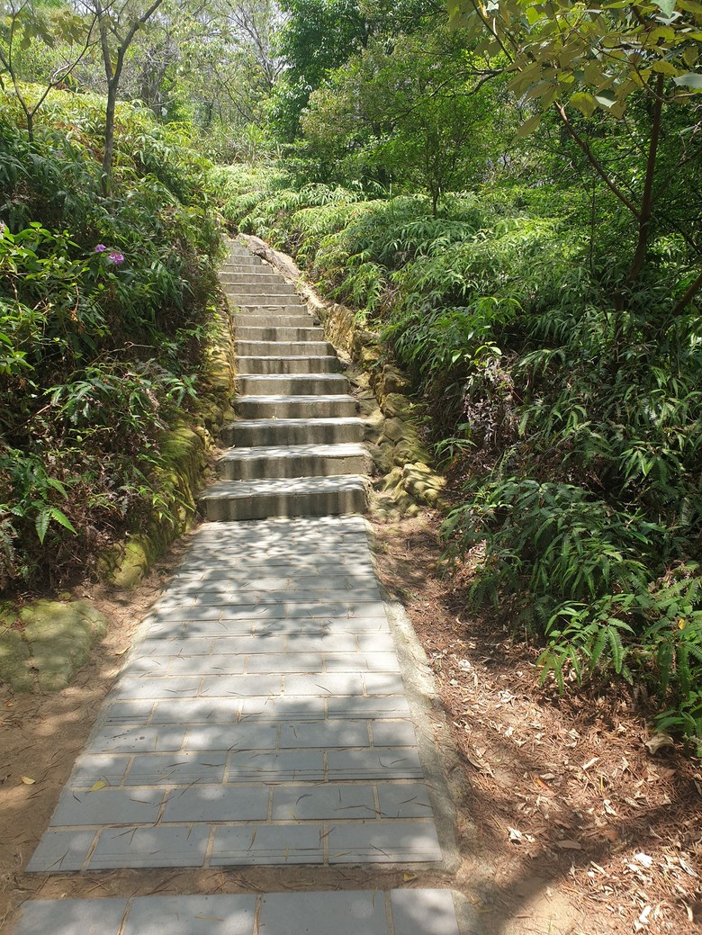 凹豆咖的眼睛保養