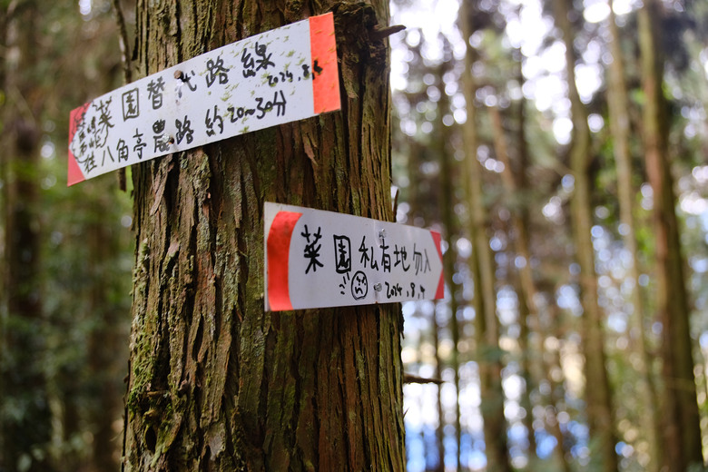 點我看大圖 【比大鳥縱走】隱沒在深山裡的日軍軍營遺址 | 五峰天際線