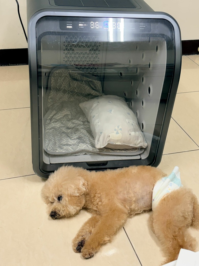 給家中老狗專屬的寵物照護空間