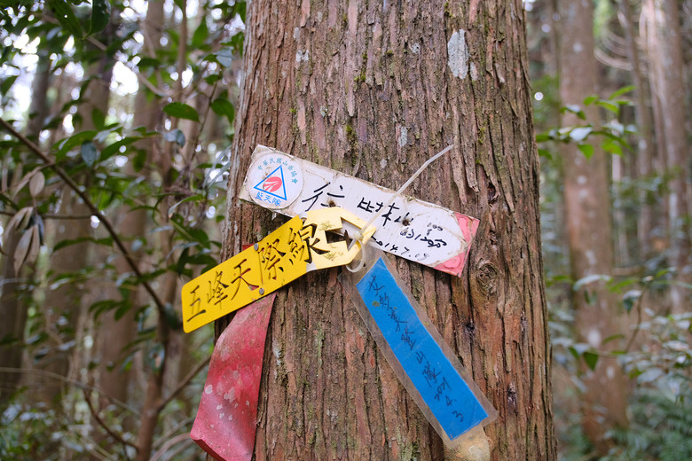點我看大圖 【比大鳥縱走】隱沒在深山裡的日軍軍營遺址 | 五峰天際線