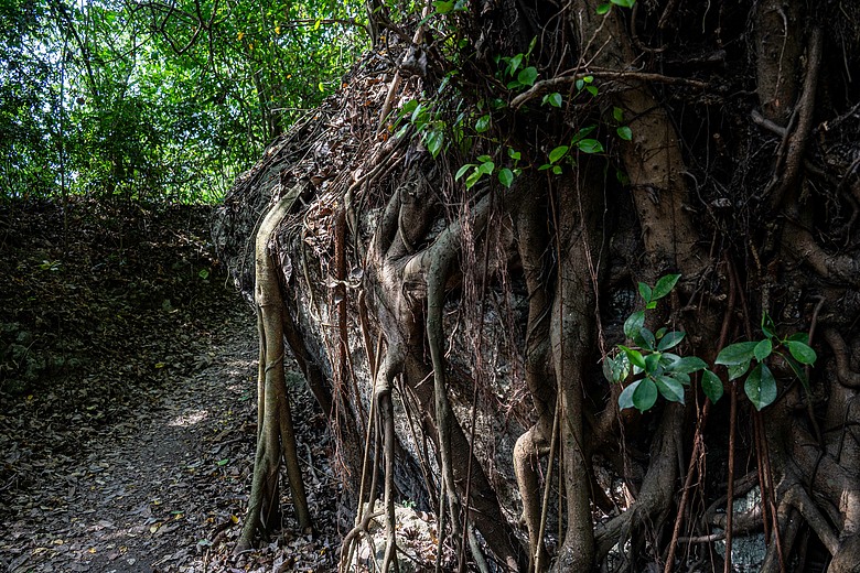 爬山看護國神山(一)
