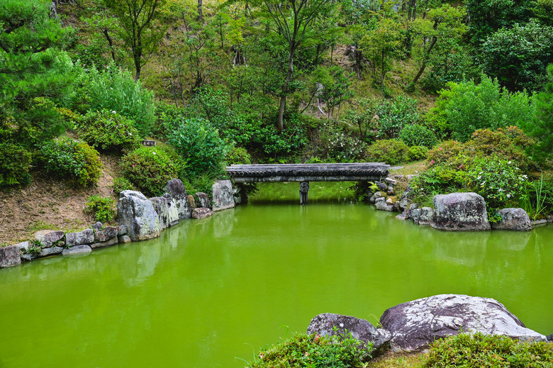 京都市區紫陽花名所採點介紹-藤森神社與智積院