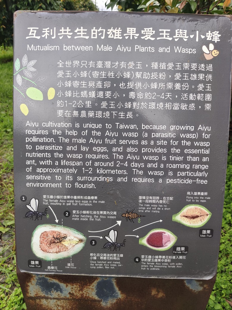 蘭陽環線--輕食之旅